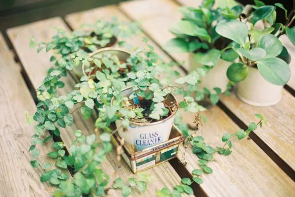 中尚圖小說出書